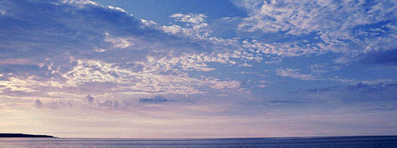 白髪隠しカラーリングブラシ【KIWABI(綺和美)】情報サイト